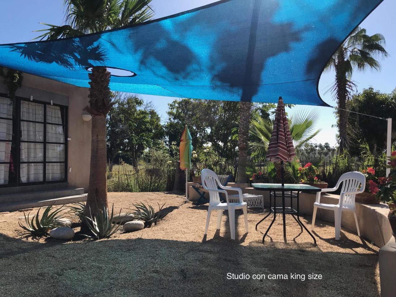 Villa Sole Caliente Todos Santos Exterior foto